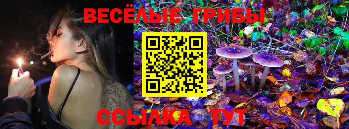 Тобольск  Галлюциногенные грибы Cubensis  Вход с VPN  Псилоцибиновые грибы прущие грибы 