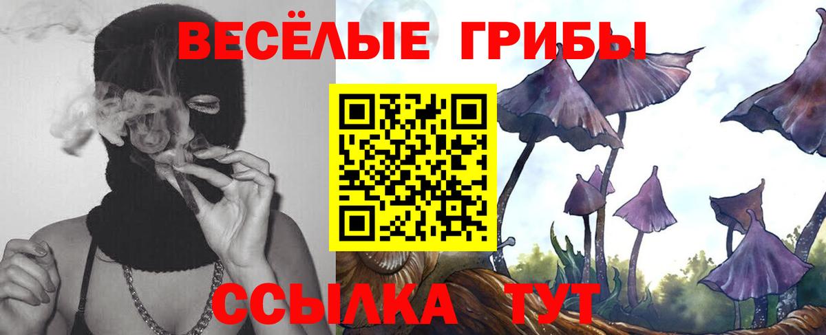 Галлюциногенные грибы Magic Shrooms Тобольск